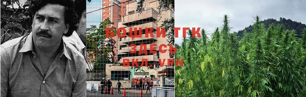 тгк Нестеровская