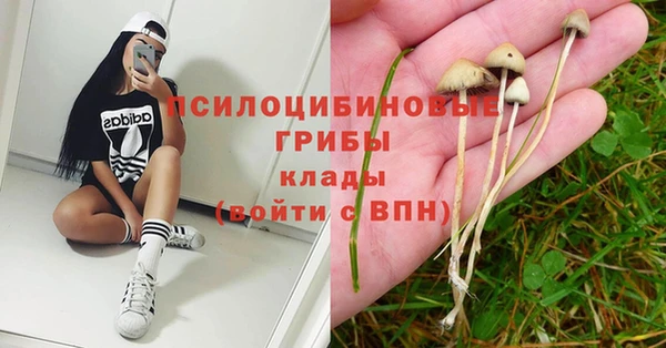 тгк Нестеровская