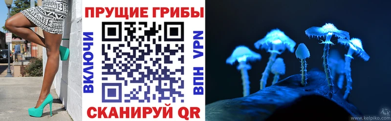 Псилоцибиновые грибы мицелий  Купить где  Княгинино 